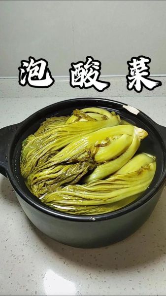 腌酸菜非物质文化遗产(腌酸菜非遗申请流程新手教程)-第1张图片-八三百科 腌酸菜非物质文化遗产(腌酸菜非遗申请流程新手教程)-第1张图片-八三百科
