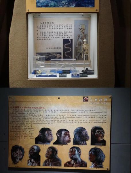 元谋文化非物质文化遗产(元谋非物质文化遗产有哪些新发现)-第3张图片-八三百科 元谋文化非物质文化遗产(元谋非物质文化遗产有哪些新发现)-第3张图片-八三百科