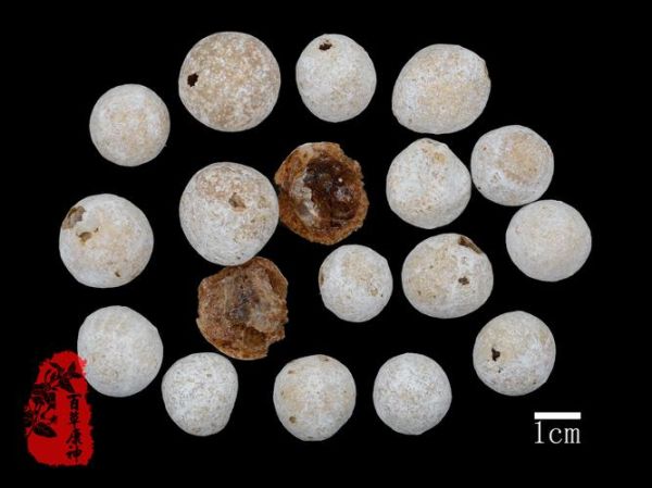 阿胶珠非物质文化遗产(阿胶珠非遗工艺怎么入门)-第2张图片-八三百科 阿胶珠非物质文化遗产(阿胶珠非遗工艺怎么入门)-第2张图片-八三百科