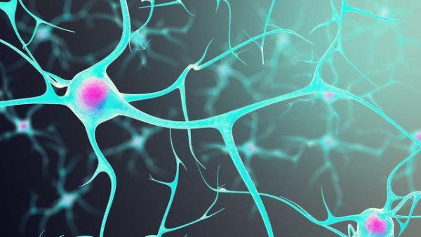 燕飞 MIT 超导量子计算（燕飞MIT超导量子计算论文在哪里看）-第2张图片-八三百科