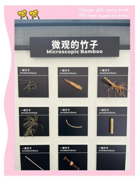 非物质文化遗产竹器（非遗竹器制作流程详解：新手如何入门）-第3张图片-八三百科