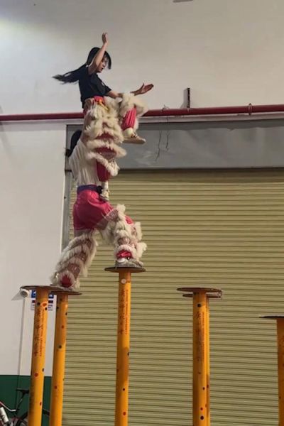 夏津非物质文化遗产遗产(夏津火狮舞非遗怎么学?零基础也能上手)-第1张图片-八三百科 夏津非物质文化遗产遗产(夏津火狮舞非遗怎么学?零基础也能上手)-第1张图片-八三百科