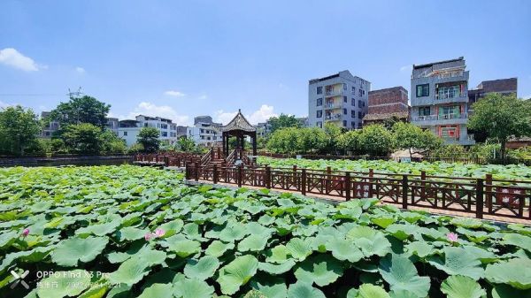 泗洲村非物质文化遗产(泗洲村非物质文化遗产有哪些)-第2张图片-八三百科 泗洲村非物质文化遗产(泗洲村非物质文化遗产有哪些)-第2张图片-八三百科