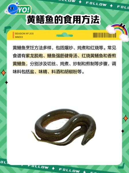 黄鳝非物质文化遗产(黄鳝制作技艺是国家级非遗吗?答:属于湖北省级非遗,正申报国家级。)-第1张图片-八三百科 黄鳝非物质文化遗产(黄鳝制作技艺是国家级非遗吗?答:属于湖北省级非遗,正申报国家级。)-第1张图片-八三百科