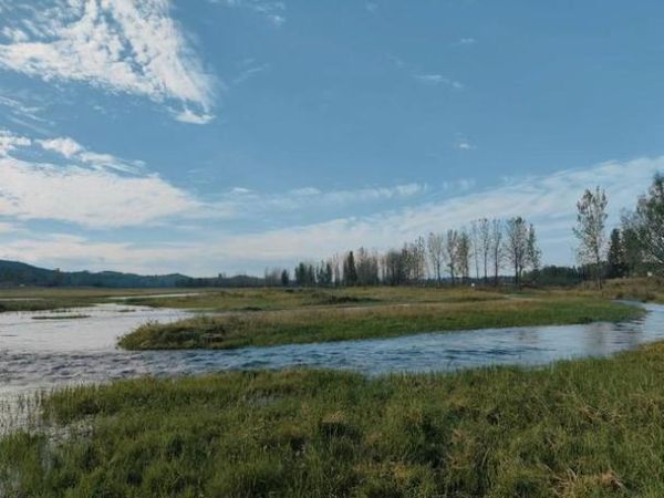 下汤镇非物质文化遗产（下汤镇非遗豆腐宴最正宗的口味在哪）-第3张图片-八三百科