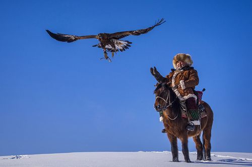 猎鹰文化非物质文化遗产-第3张图片-八三百科