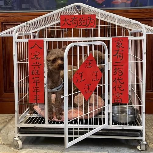 非物质文化遗产狗窝（狗窝非遗工艺可以网购吗）-第1张图片-八三百科