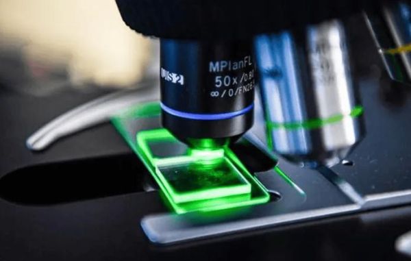 量子计算机低温超导材料（量子计算机为什么需要超导材料）-第2张图片-八三百科