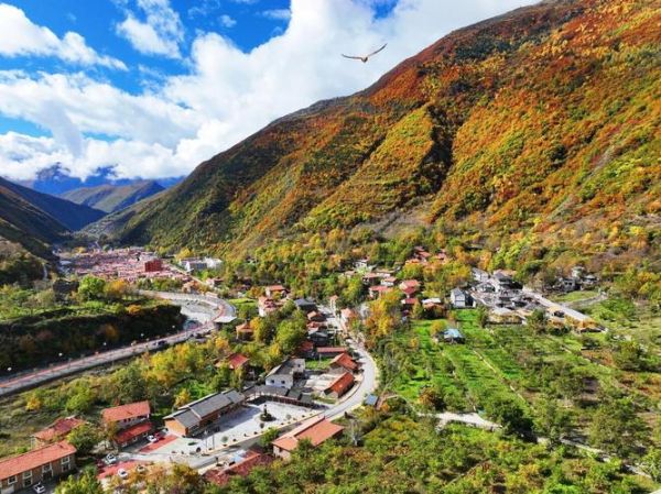 阿坝州非物质文化遗产（阿坝州非遗项目有哪些新手一次看懂）-第2张图片-八三百科