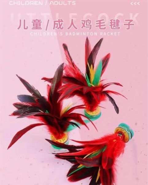 非物质文化遗产羽毛毽（非物质文化遗产羽毛毽怎么做）-第3张图片-八三百科