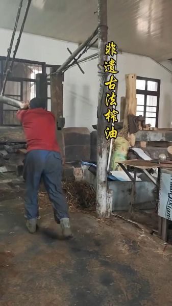 压榨工艺非物质文化遗产(传统压榨工艺非遗怎么保护新手也能下手)-第1张图片-八三百科 压榨工艺非物质文化遗产(传统压榨工艺非遗怎么保护新手也能下手)-第1张图片-八三百科