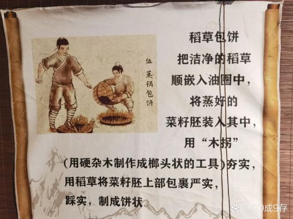 压榨工艺非物质文化遗产(传统压榨工艺非遗怎么保护新手也能下手)-第2张图片-八三百科 压榨工艺非物质文化遗产(传统压榨工艺非遗怎么保护新手也能下手)-第2张图片-八三百科