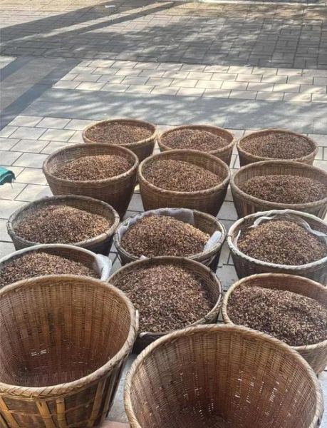 非物质文化遗产田野调查（零基础如何开始非遗田野调查）-第2张图片-八三百科