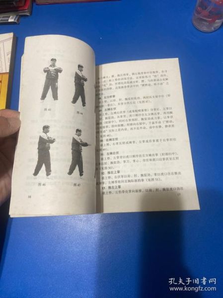 非物质文化遗产武术咏春(咏春拳非物质文化遗产怎么入门)-第1张图片-八三百科 非物质文化遗产武术咏春(咏春拳非物质文化遗产怎么入门)-第1张图片-八三百科