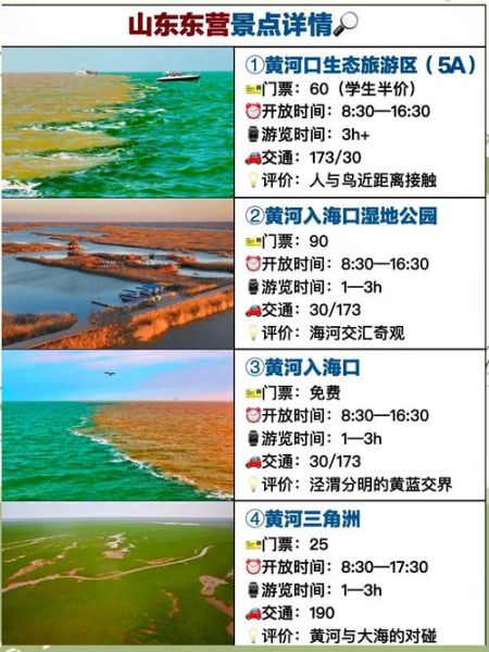 东营非物质文化遗产（东营非遗一日游路线怎么走？）-第2张图片-八三百科