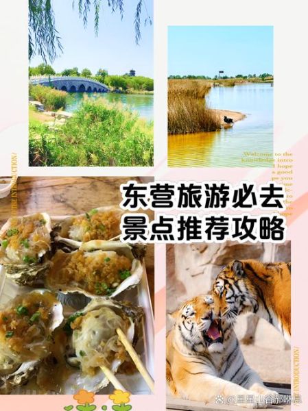 东营非物质文化遗产（东营非遗一日游路线怎么走？）-第3张图片-八三百科