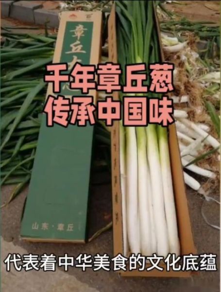 非物质文化遗产大葱（非物质文化遗产大葱的制作工艺揭秘）-第1张图片-八三百科