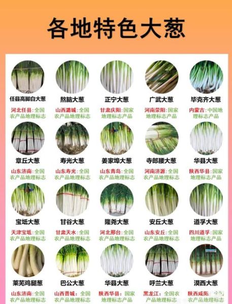 非物质文化遗产大葱（非物质文化遗产大葱的制作工艺揭秘）-第3张图片-八三百科