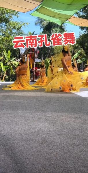 傣族非物质文化遗产（傣族孔雀舞列入非遗是哪一年）-第3张图片-八三百科