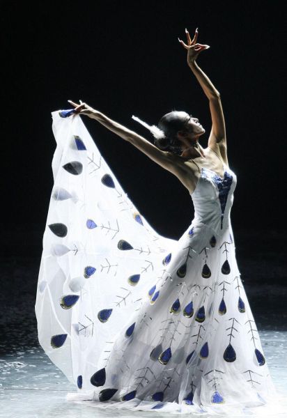 傣族非物质文化遗产（傣族孔雀舞列入非遗是哪一年）-第1张图片-八三百科