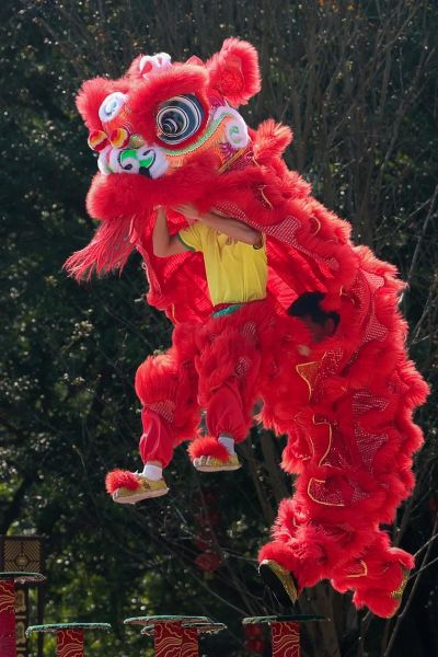 非物质文化遗产醒狮(非物质文化遗产醒狮表演为何吸引人)-第1张图片-八三百科 非物质文化遗产醒狮(非物质文化遗产醒狮表演为何吸引人)-第1张图片-八三百科