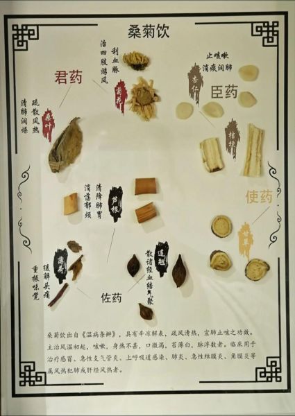 非物质文化遗产中医名方（非物质文化遗产中医名方民间如何查询）-第1张图片-八三百科