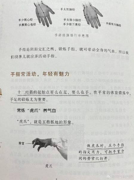 非物质文化遗产手搏术（非物质文化遗产手搏术如何自学入门）-第3张图片-八三百科