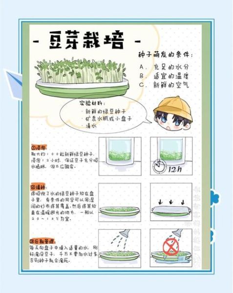 非物质文化遗产豆芽（非物质文化遗产豆芽的传统工艺怎么申请）-第3张图片-八三百科