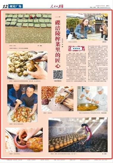 榨菜非物质文化遗产（榨菜非物质文化遗产工艺为何鲜为人知）-第1张图片-八三百科