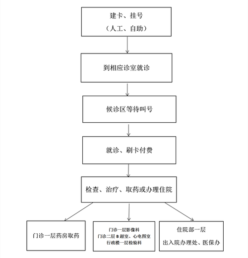 非物质文化遗产医疗队（非物质文化遗产医疗队中医义诊流程完全手册）-第2张图片-八三百科
