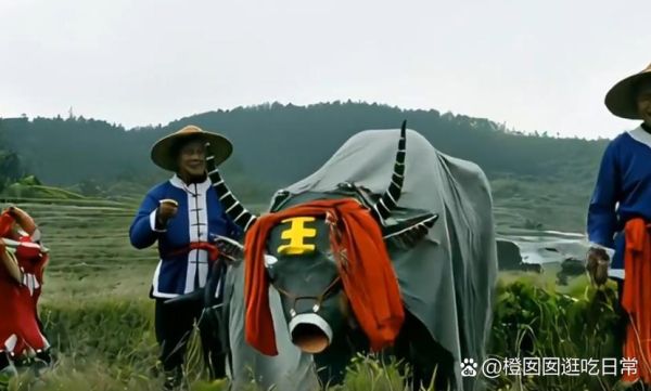 非物质文化遗产舞牛（舞牛非物质文化遗产传承教程）-第1张图片-八三百科