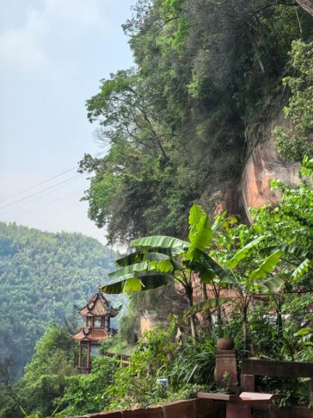 蜀南竹海非物质文化遗产（蜀南竹海有哪些非物质文化遗产）-第1张图片-八三百科