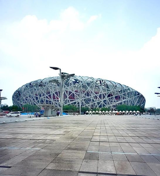 鸟巢非物质文化遗产（鸟巢为什么是非物质文化遗产）-第1张图片-八三百科