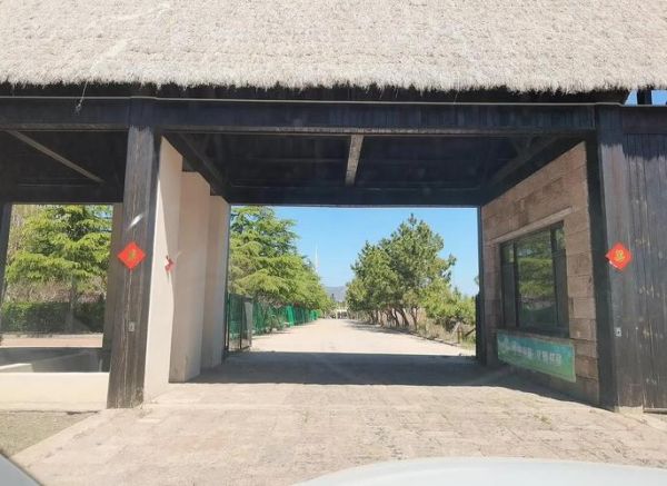 传统荣成非物质文化遗产（荣成海草房非遗技艺在哪看）-第1张图片-八三百科