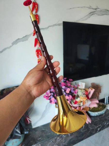 非物质文化遗产朱氏唢呐（朱氏唢呐非遗技艺怎么入门？）-第2张图片-八三百科