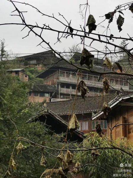 非物质文化遗产苗岭（苗岭非物质文化遗产有哪些）-第2张图片-八三百科