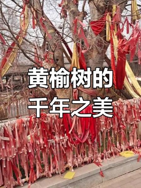 榆树非物质文化遗产（榆树非遗有哪些？一文带你全看懂）-第2张图片-八三百科