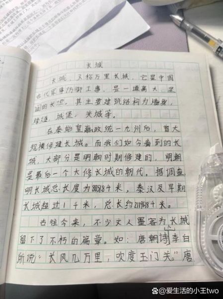 灵州非物质文化遗产作文（灵州非物质文化遗产作文素材怎么写）-第2张图片-八三百科