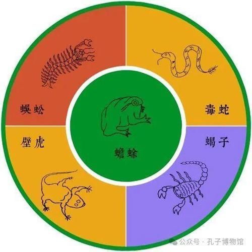 非物质文化遗产五毒八毒（五毒八毒是哪几种毒药）-第1张图片-八三百科