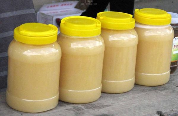 河源绿纯非物质文化遗产(河源绿纯非遗酿酒工艺是什么)-第3张图片-八三百科 河源绿纯非物质文化遗产(河源绿纯非遗酿酒工艺是什么)-第3张图片-八三百科