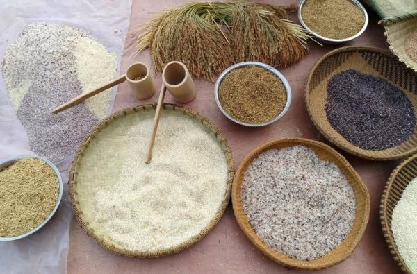 非物质文化遗产耕作(什么是非物质文化遗产耕作技术)-第3张图片-八三百科 非物质文化遗产耕作(什么是非物质文化遗产耕作技术)-第3张图片-八三百科