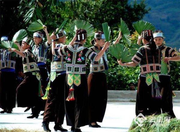 元江县的非物质文化遗产(元江县哈尼棕扇舞详细教学)-第2张图片-八三百科 元江县的非物质文化遗产(元江县哈尼棕扇舞详细教学)-第2张图片-八三百科