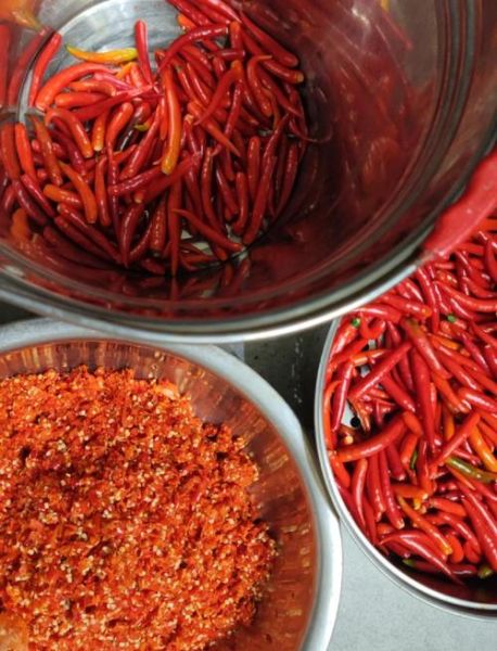 剁辣椒非物质文化遗产（剁辣椒非遗制作技艺完整教程）-第1张图片-八三百科