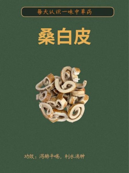 非物质文化遗产白皮（什么是非遗白皮）-第1张图片-八三百科