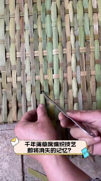 湛江非物质文化遗产蒲草（湛江蒲草编织技艺初学者指南）-第3张图片-八三百科
