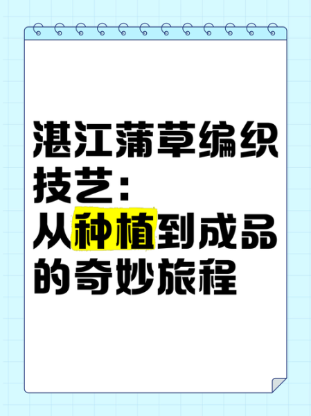 湛江非物质文化遗产蒲草（湛江蒲草编织技艺初学者指南）-第2张图片-八三百科