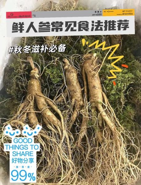 沂水非物质文化遗产人参（沂水人参制作技艺全流程揭秘）-第3张图片-八三百科