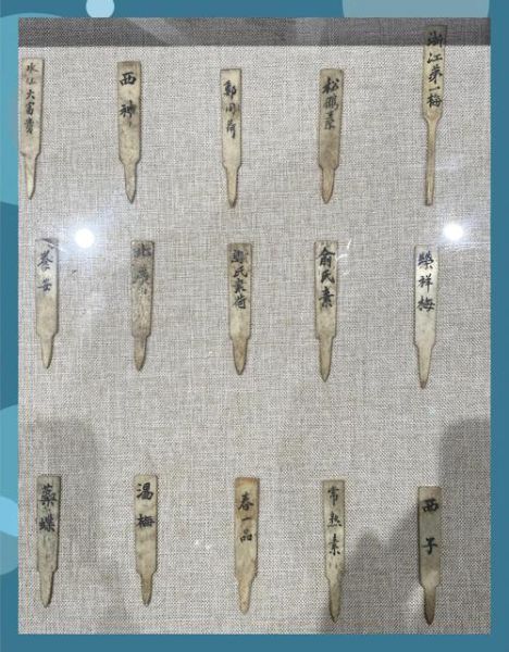 非物质文化遗产古兰针（古兰针是干什么的？非遗技艺入门解读）-第1张图片-八三百科