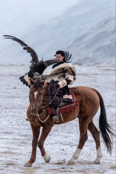 非物质文化遗产猎鹰文化(非物质文化遗产猎鹰文化传承现状及入门指南)-第3张图片-八三百科 非物质文化遗产猎鹰文化(非物质文化遗产猎鹰文化传承现状及入门指南)-第3张图片-八三百科