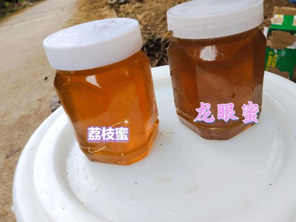 养蜂非物质文化遗产（养蜂技艺如何入选国家级非遗名录）-第3张图片-八三百科